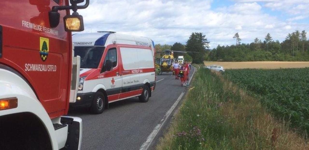 Heute.at - Wildunfall: Reh rammte Motorradfahrer auf Straße