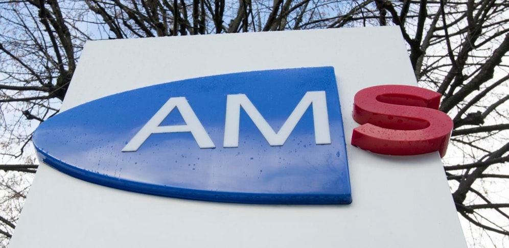 Das AMS hat Daten zum Jahr 2017 veröffentlicht.