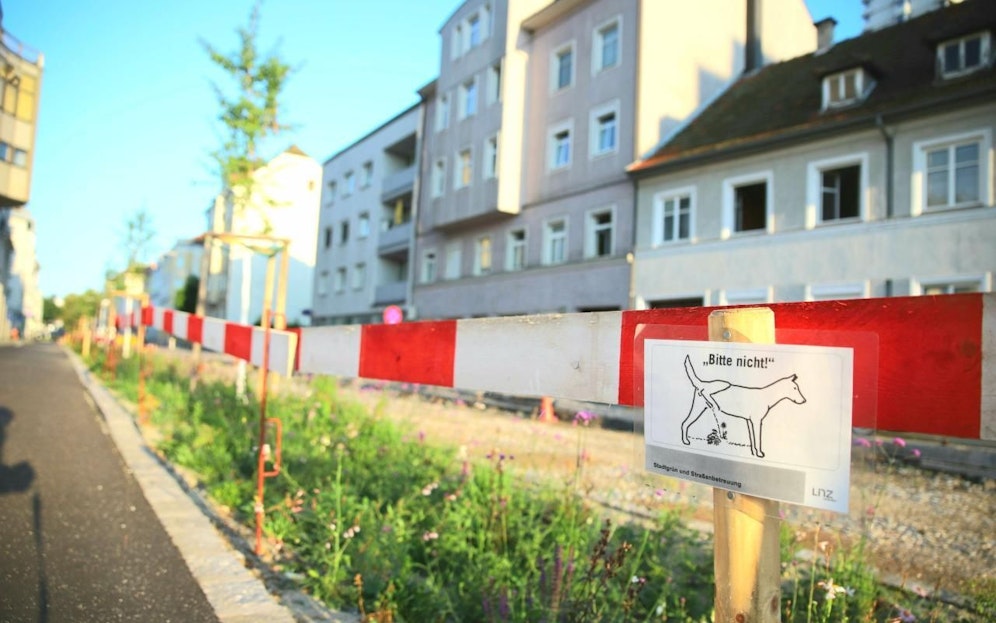 Entlang der Reindlstraße wurden die Schilder angebracht.