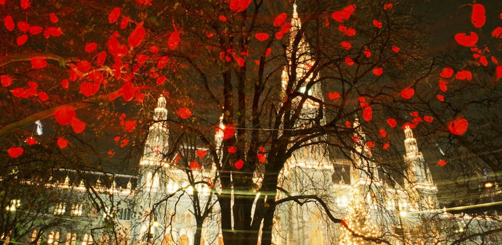 Der Herzerlbaum am Wiener Rathausplatz galt als Sehenswürdigkeit.