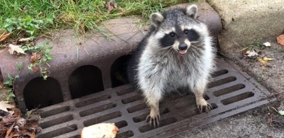 Ups... es ist nicht das wonach es aussieht.