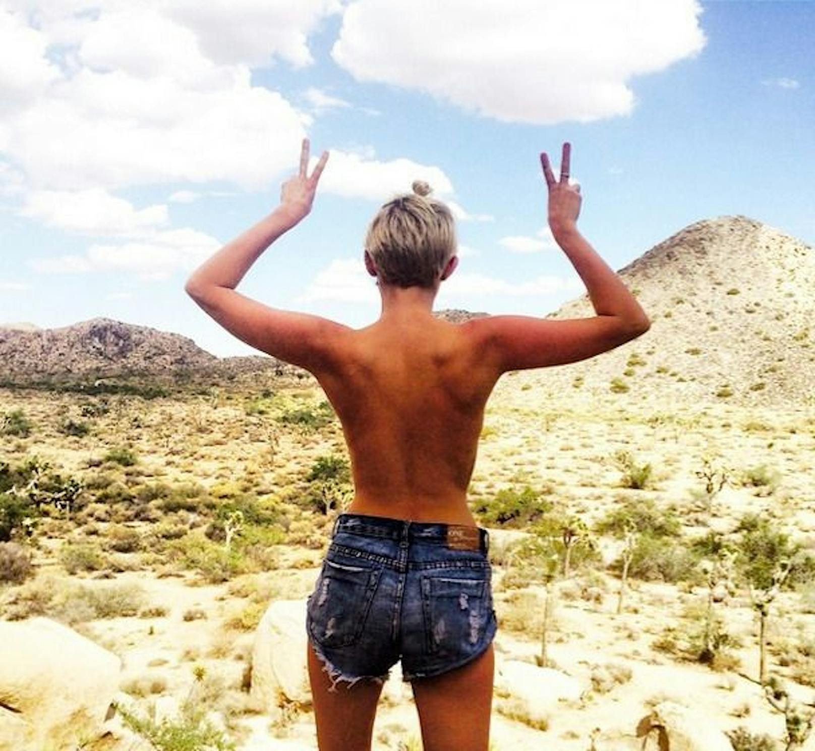 Miley Cyrus machte sich in der Wüste nackig