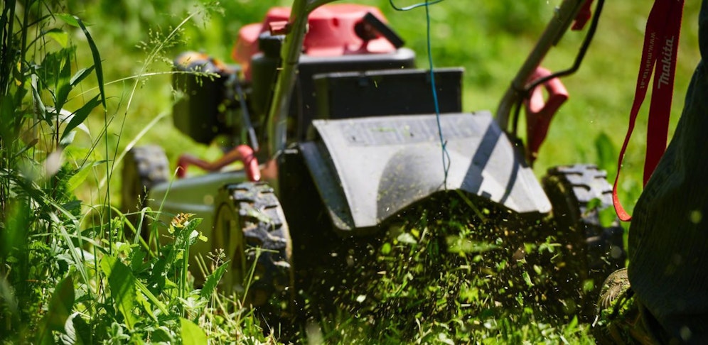 Der Steirer mähte den Rasen seines Schrebergartens, als er von einer Wespe gestochen wurde. 
