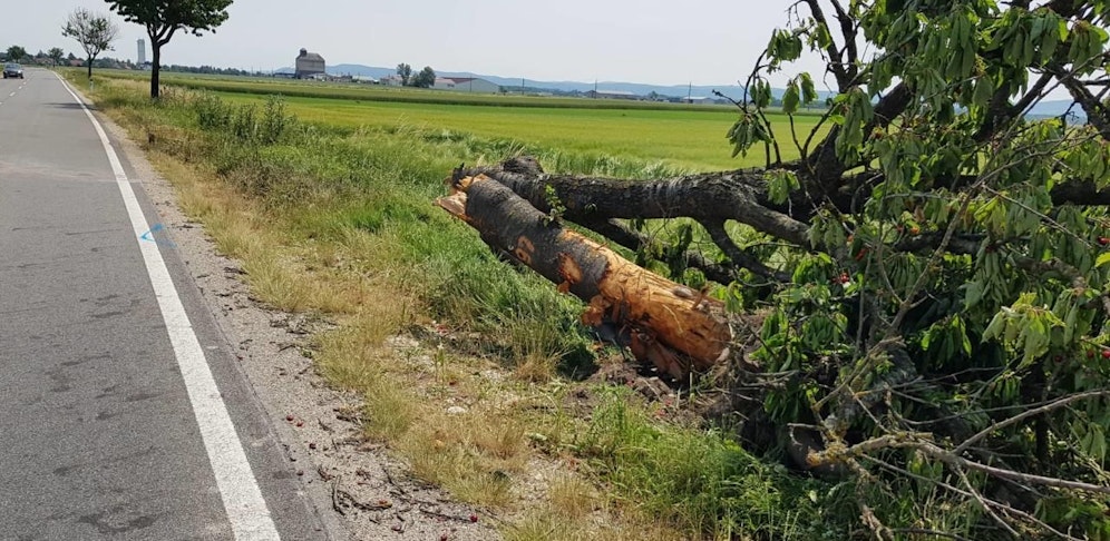 Erst vergangenen Sonntagabend kam es zu einem tödlichen Unfall mit Fahrerflucht bei Hausleiten.