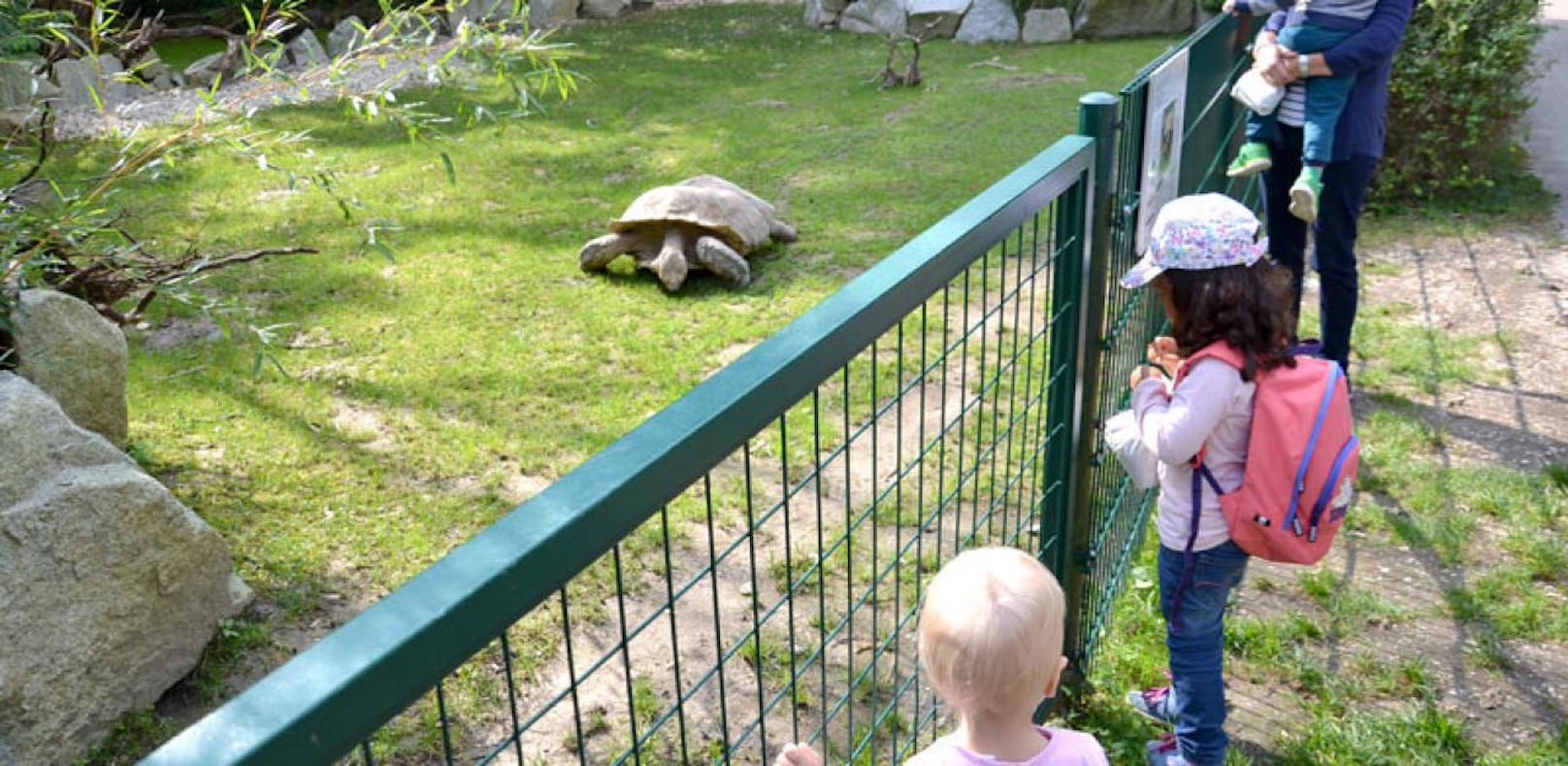 Ein Schnuppertag im Linzer Zoo kostet 70 Euro. 