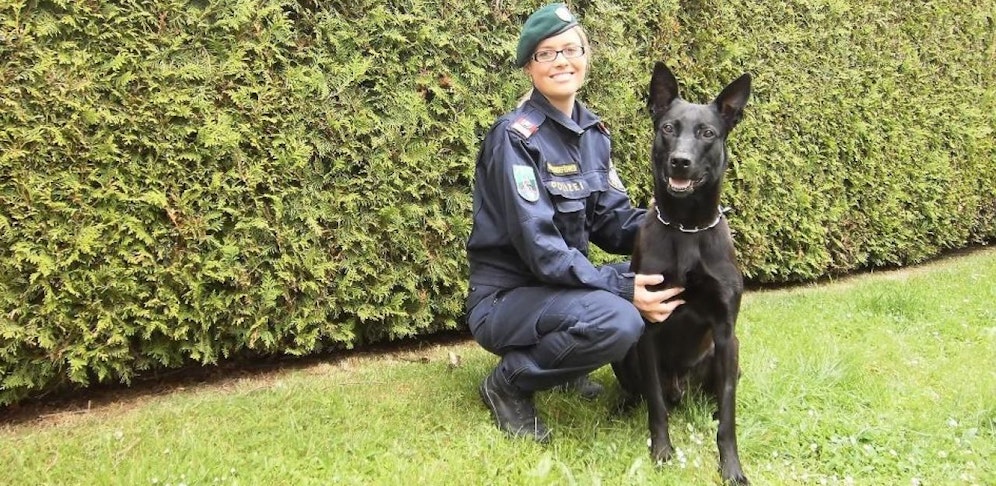 Polizeihund Cantor auf einer Archivaufnahme.