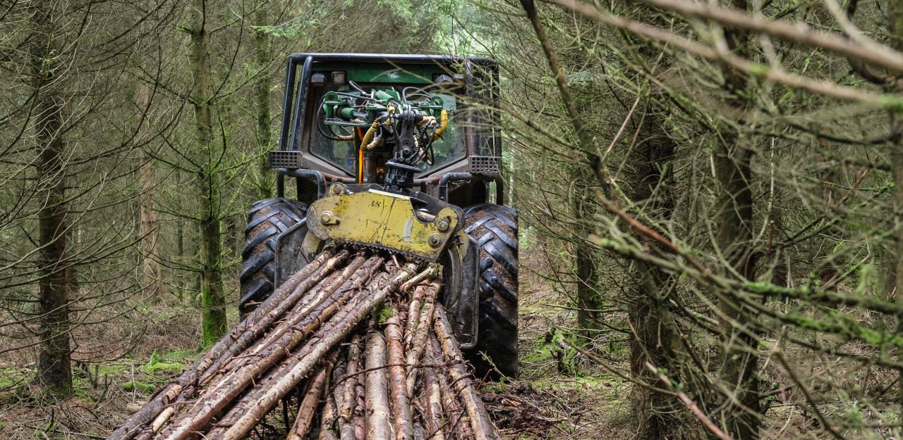 Heute.at - Bei Holzarbeiten mit Opa: Bub wird Arm abgetrennt