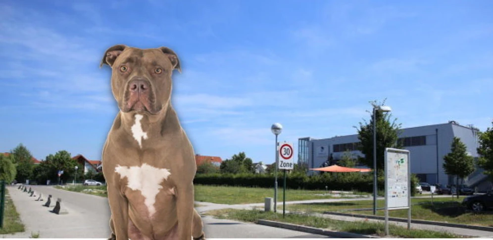 Symbolhund; Hier biss der Pitbull zu.