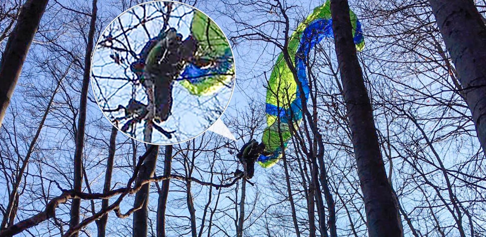 Paragleiter (29) stürzt ab, bleibt in Baum hängen