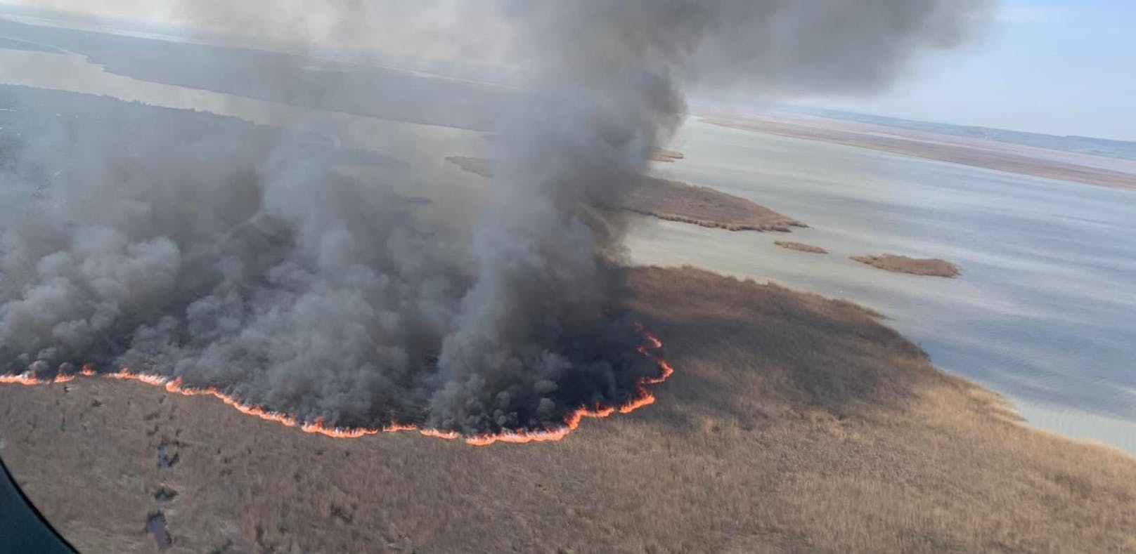 700 Hektar Schilf bei Großbrand vernichtet