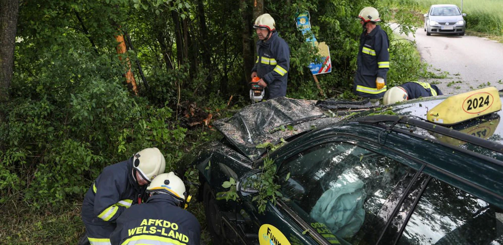 Das Taxi krachte beim Unfall in Pichl bei Wels gegen mehrere Bäume.