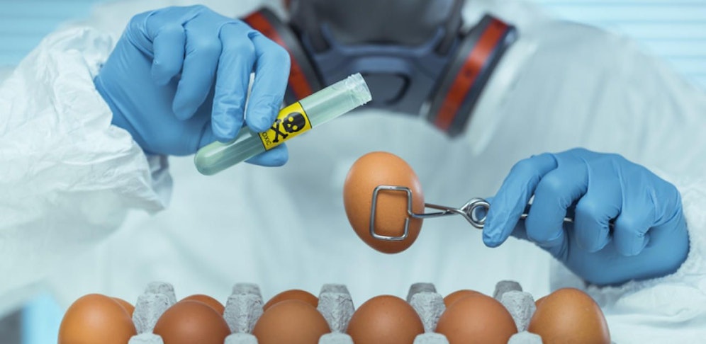 Fipronil auch in Gugelhupf und Semmelknödeln entdeckt