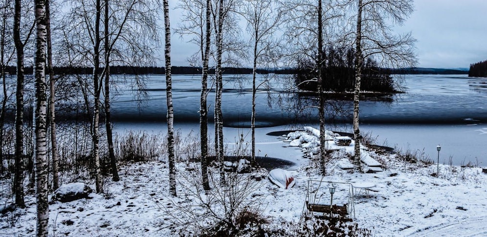 In einem Wald bei Lauffen fand die Frau den Kadaver.