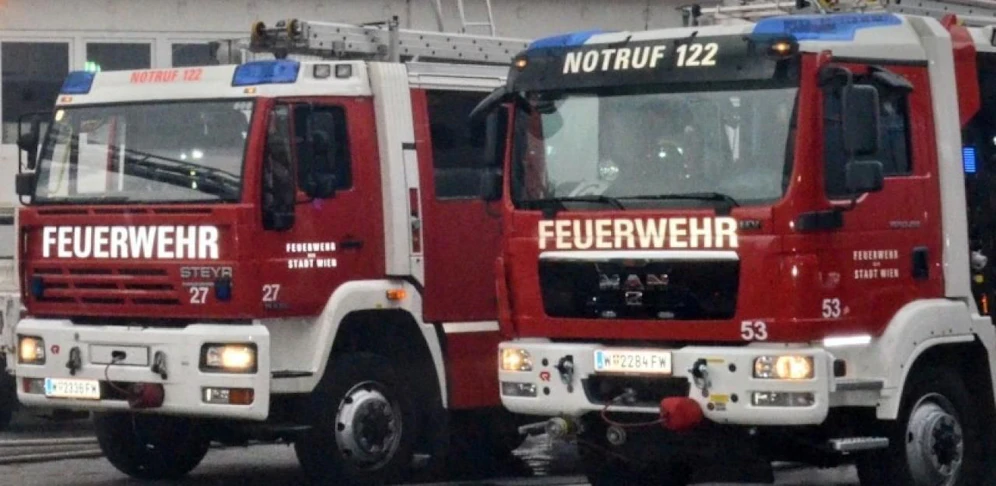 Insgesamt wurden zwölf Personen, zwei Katzen und ein Hund von den Feuerwehrleuten in Sicherheit gebracht. (Archivbild)