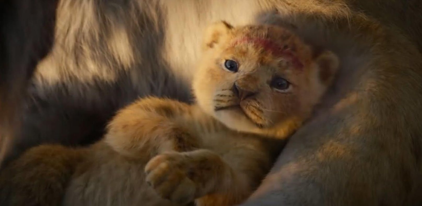 Der neue Teaser Trailer von "Der König der Löwen"