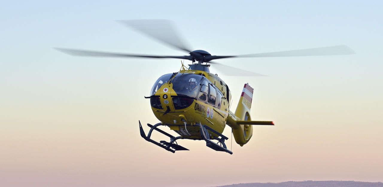 Heute.at - 42-Jähriger beim Baumfällen schwer verletzt