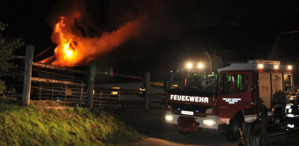 Bei zwei Stallbränden verendeten fünf Pferde. (Symbol)