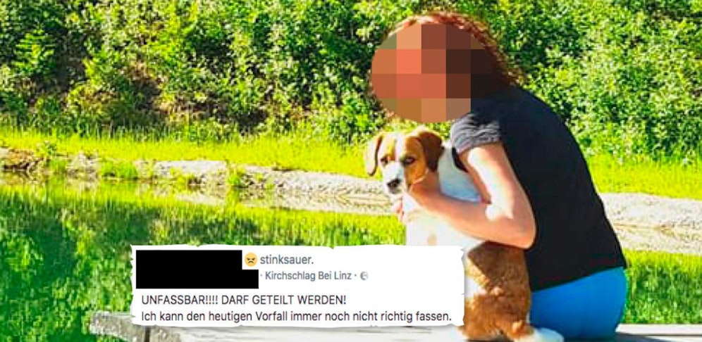 Der Hund von Janet H. wurde diskriminiert, musste das Finanzamt verlassen.