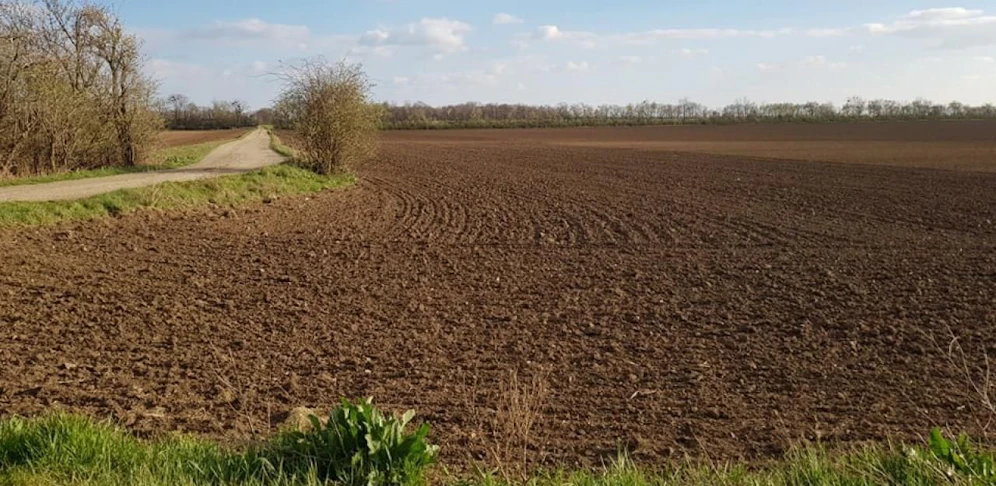 Hier wurde die Panzergranate aus dem Zweiten Weltkrieg gefunden.