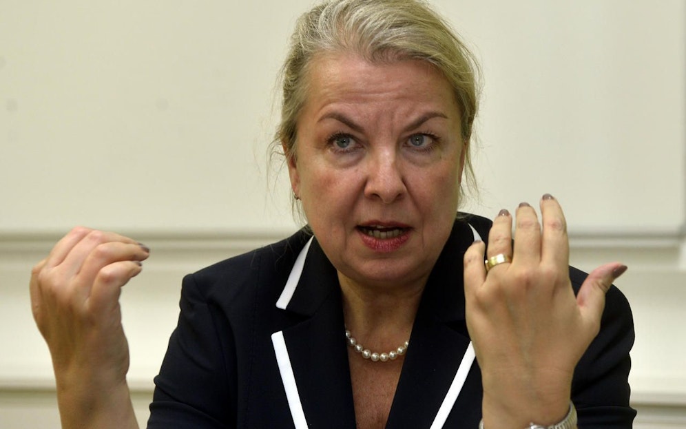 FP-Sozialministerin Hartinger-Klein arbeitet neues Arbeitslosengeld aus.