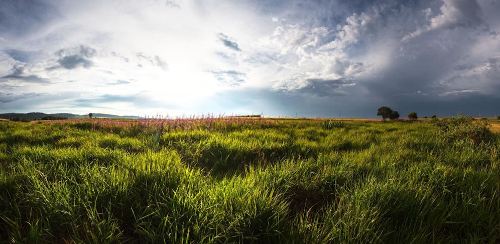 Mix aus Sonne und Wolken am heutigen Samstag in Niederösterreich.