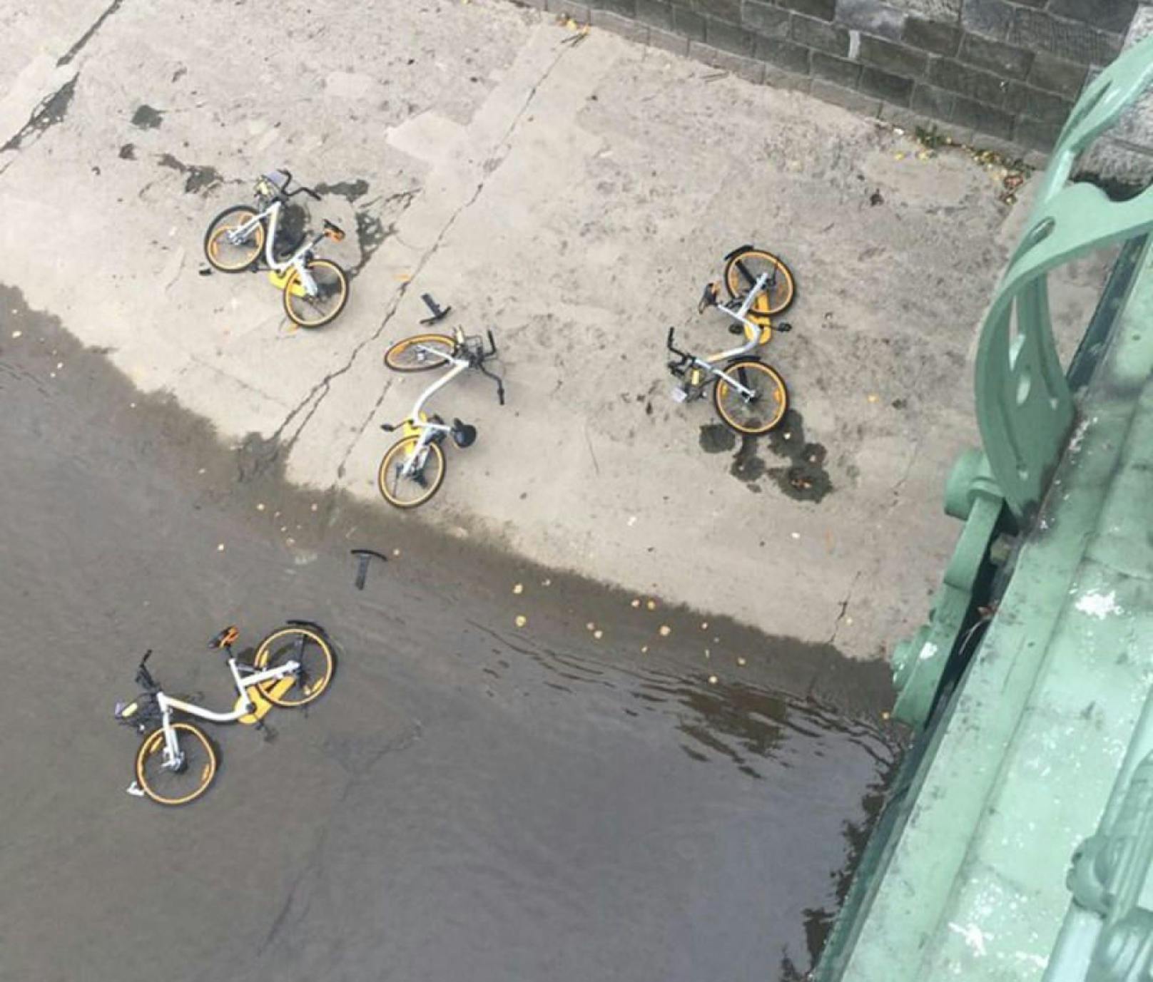 Dass die Räder im Fluss landen, kennt man auch aus anderen Städten, in denen sich die chinesischen Bikesharer niedergelassen haben. 