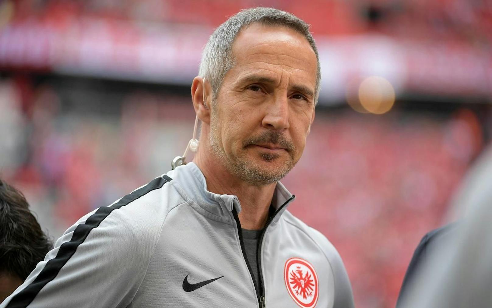 Frankfurt-Coach Adi Hütter