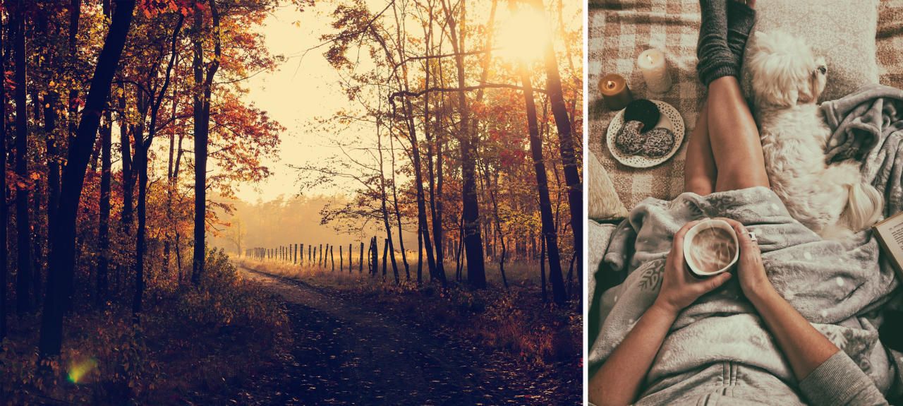 Heute.at - Woran erkennen Sie, dass der Herbst da ist?