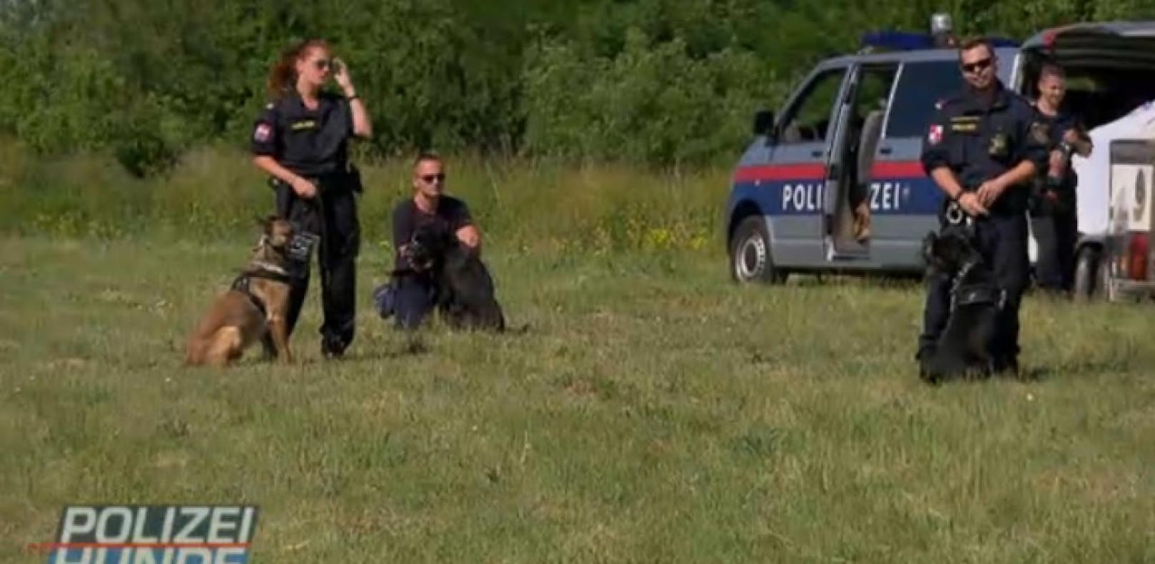 &quot;Polizei-Hunde -  Verbrecherjagd mit Biss!&quot;: ATV arbeitet eng mit der Polizei zusammen