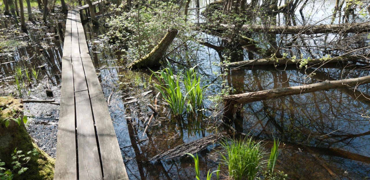 Der Mann stürzte in ein Biotop und ertrank