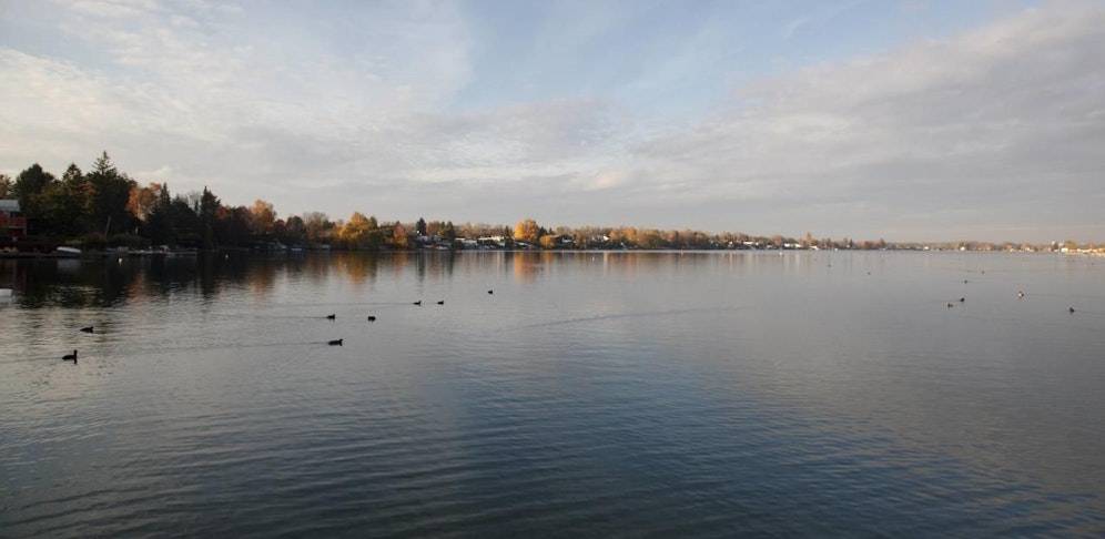 Badegäste zogen den Bewusstlosen auf dem Wasser.