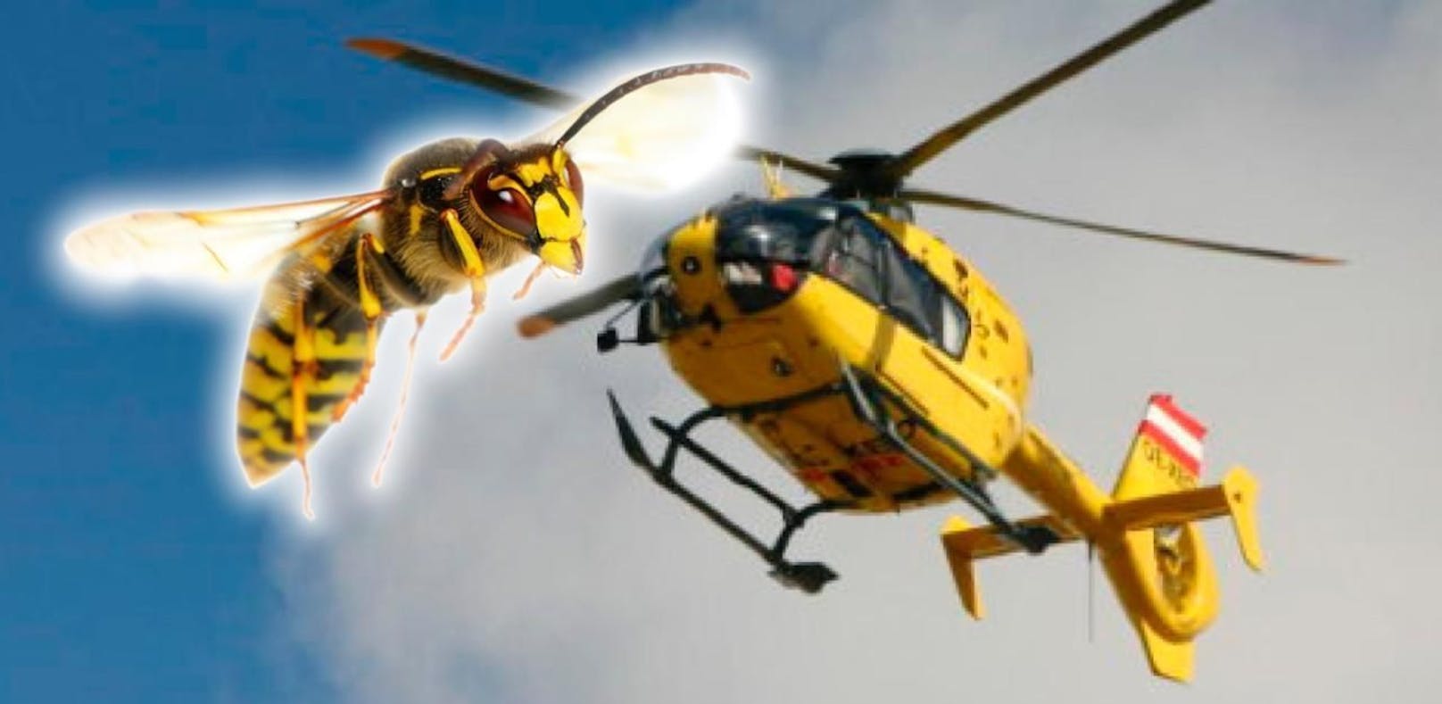 50-Jährige musste nach mehreren Insektenstichen ins Spital geflogen werden.