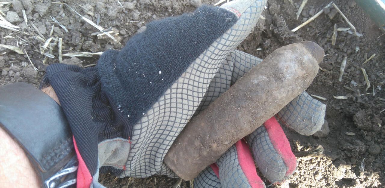 Heute.at - Granaten aus dem Zweiten Weltkrieg entdeckt