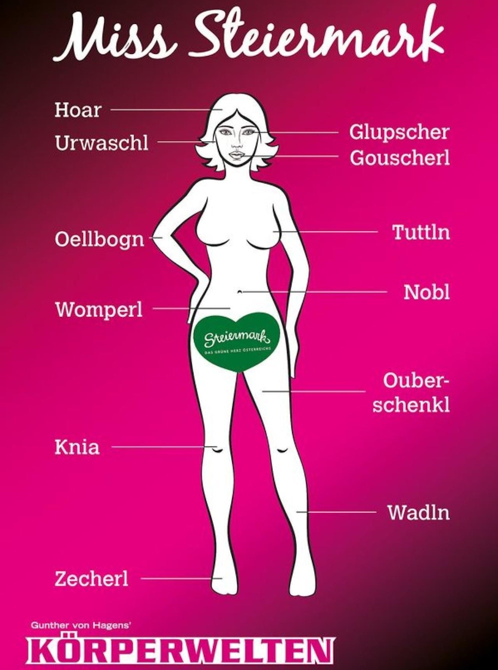 Das Sujet der "Miss Steiermark" sorgt gerade für Aufregung