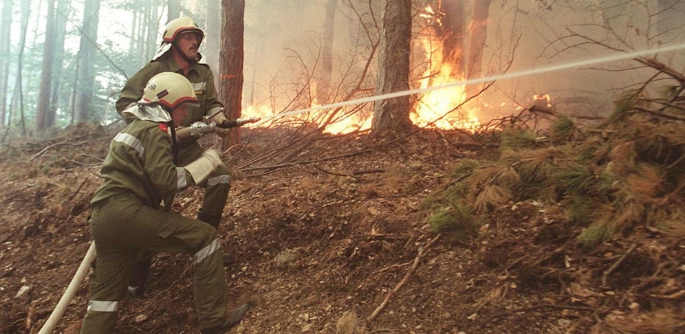 In großen Teilen Niederösterreichs herrscht akute Waldbrandgefahr