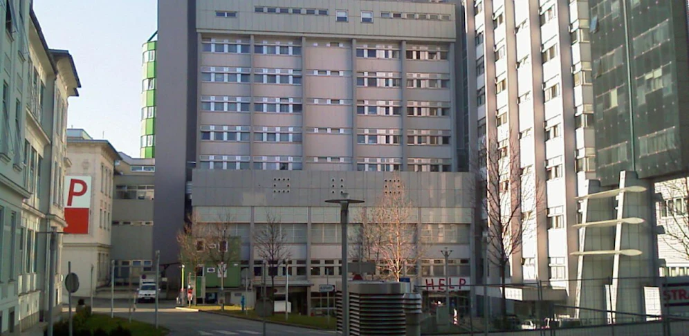 Der junge Mann erlag im LKH Graz seinen schweren Kopfverletzungen