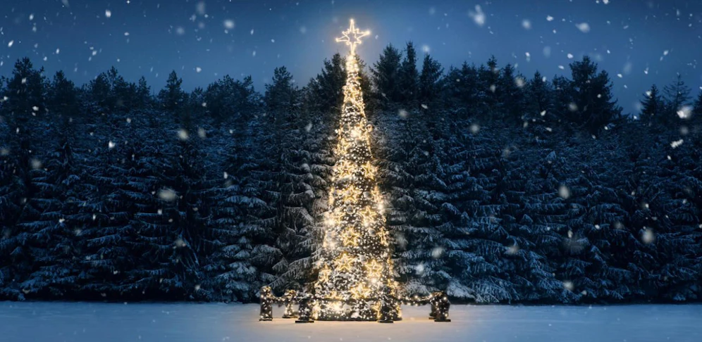 Heuer wird es keine weißen Weihnachten geben