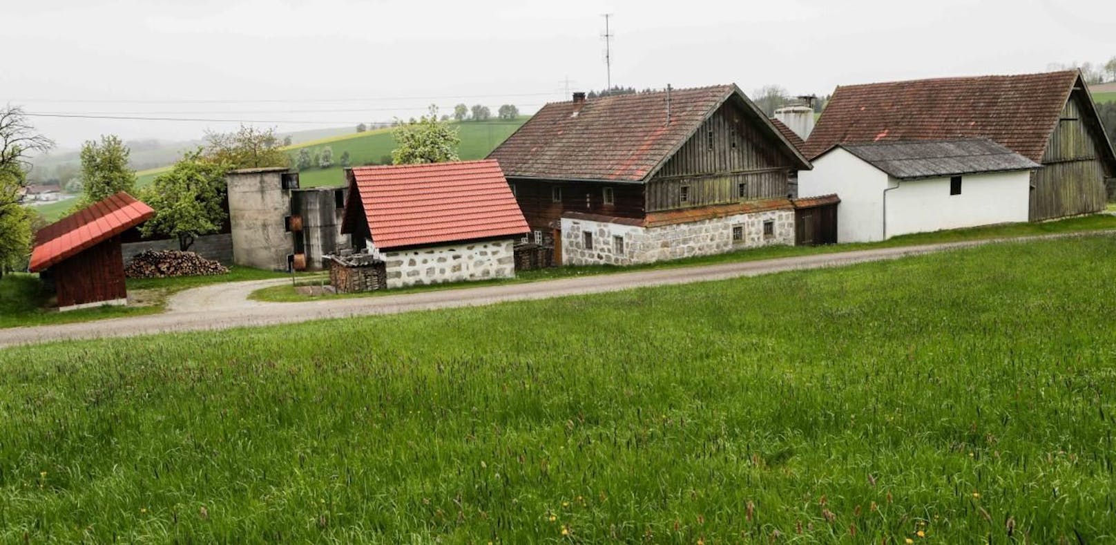 Auf diesem Bauernhof in Rainbach im Innkreis eskalierte ein Streit zwischen zwei Brüdern.