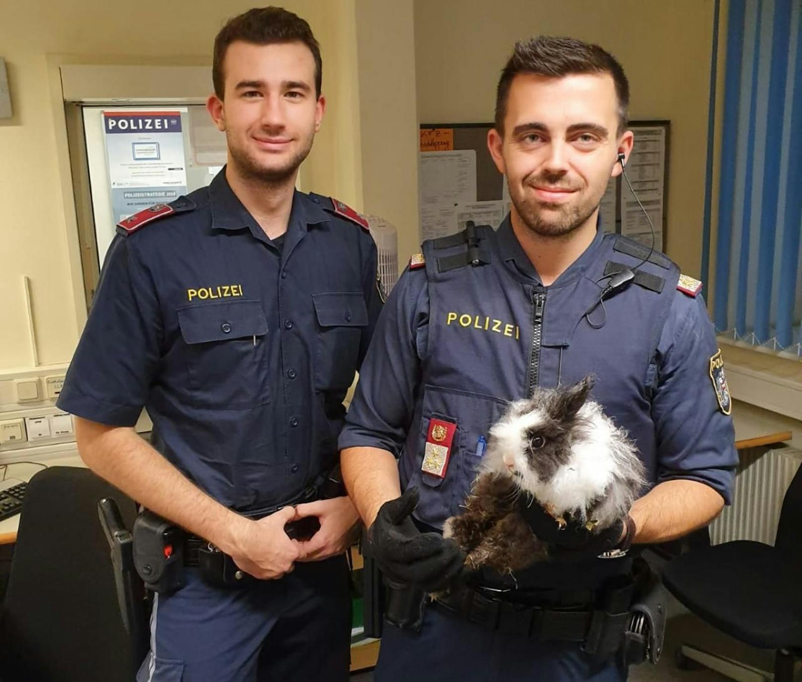 Beamte der Polizeiinspektion Wurmsergasse versorgten das Tier auf dem Wachzimmer.