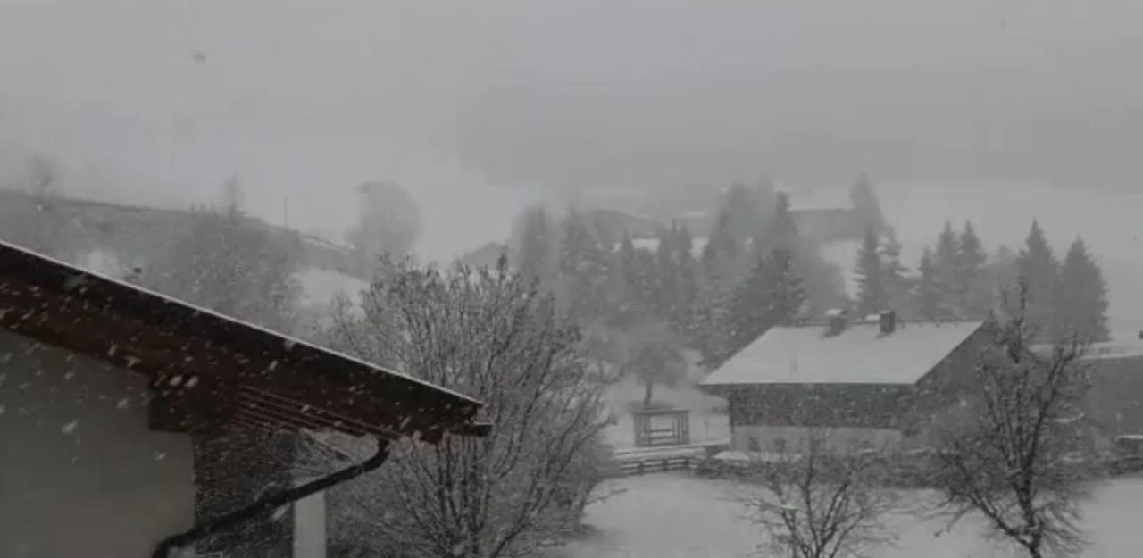Heute.at - Schickt uns eure besten Fotos vom Schneegestöber