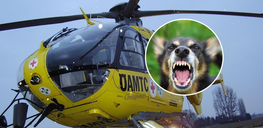 Nach Hundebiss: Frau wurde ins Spital geflogen.