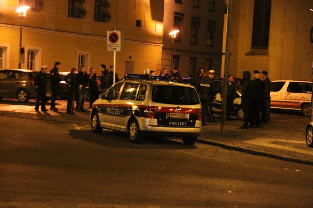 Die Wiener Polizei im Einsatz.