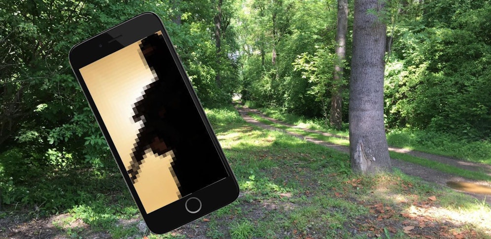 In der Tullner Au (Foto) wurde die 15-Jährige vergewaltigt.