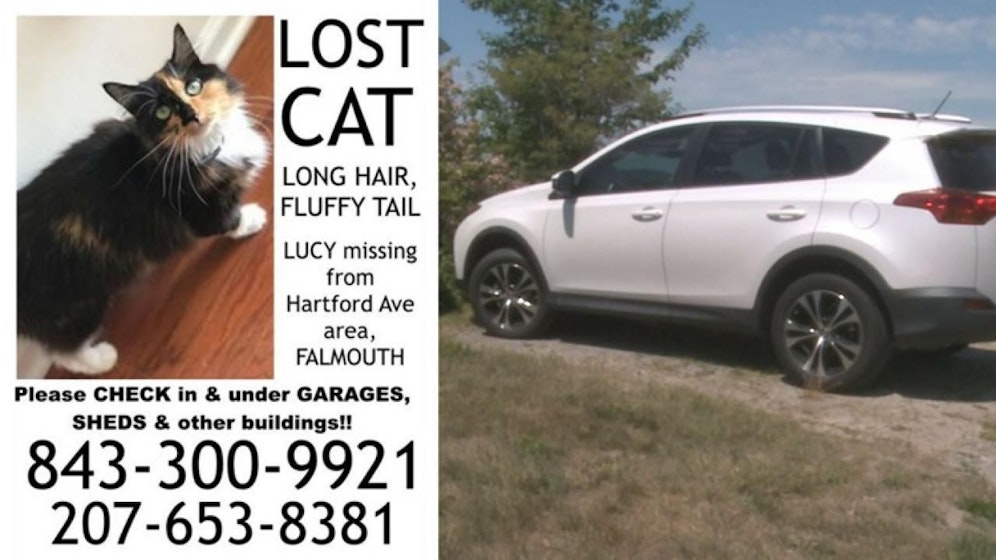 Gesucht: "Lucy" war tagelang verschwunden, tauchte dann 1.600 Kilometer weit entfernt wieder auf. Sie schlüpfte wohl in Autos, fuhr als Anhalterin mit. 