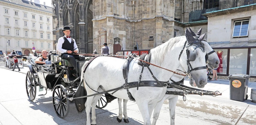Fiaker am Stephansplatz