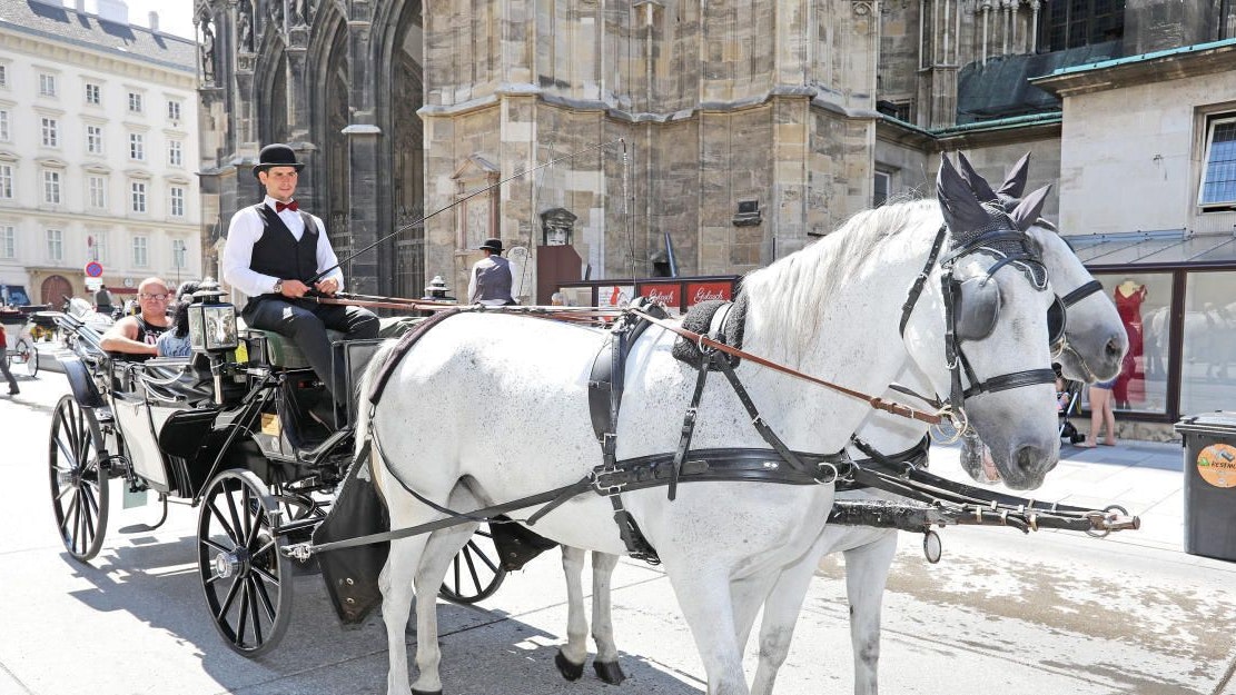 Fiaker am Stephansplatz
