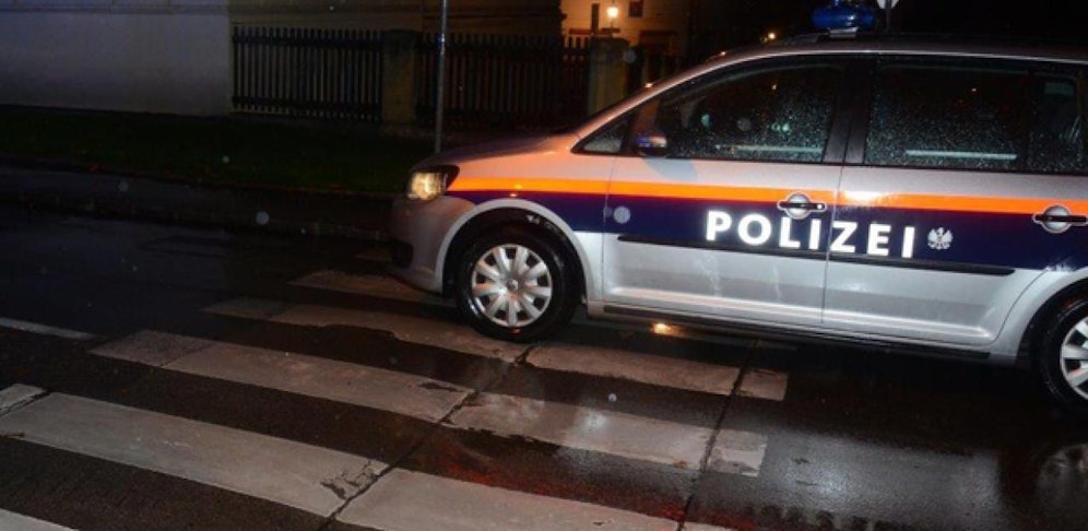 Mutter mit Sohn auf Schutzweg in Wien-Hietzing gerammt. 