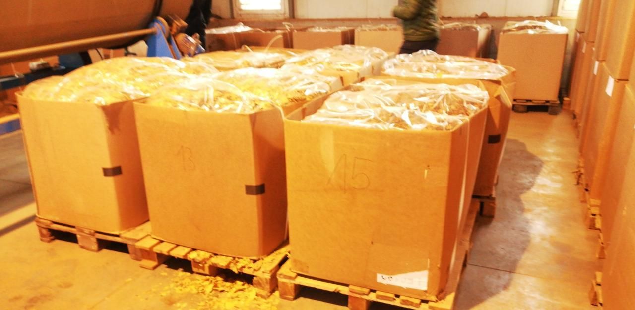 Heute.at - Zoll gelang 'größter Schlag gegen Zigarettenmafia'