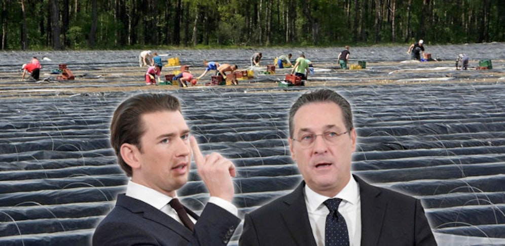 Flüchtlinge zwangsweise als Erntehelfer? Kurz ist gegen den FPÖ-Vorschlag