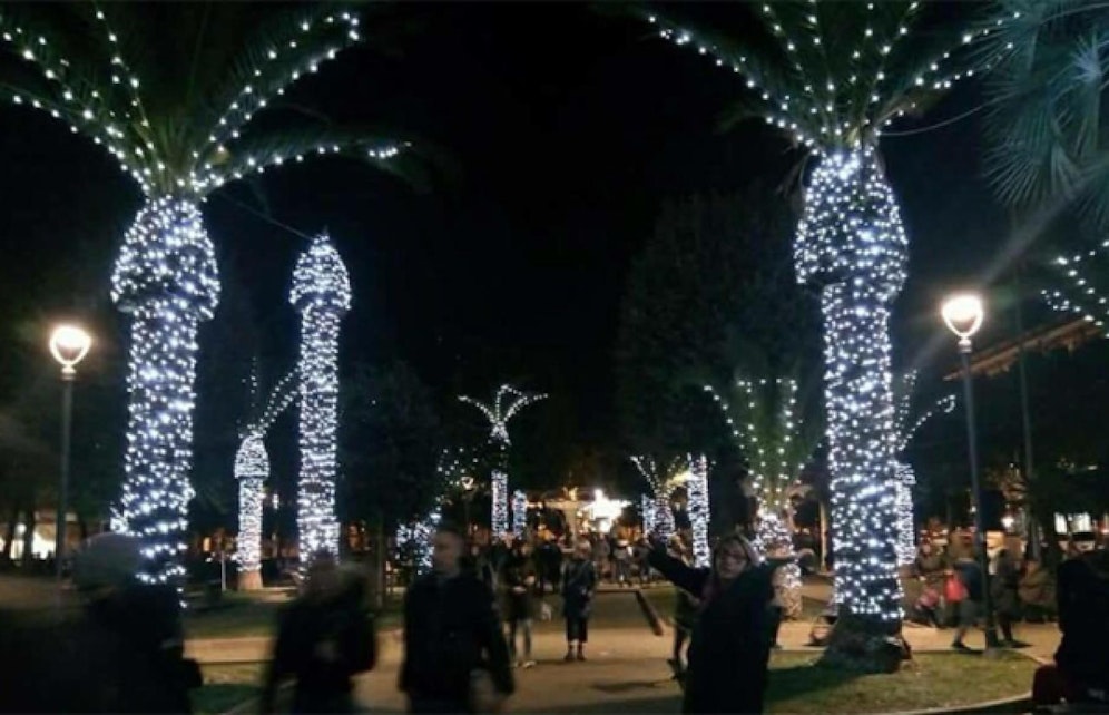 Die Palmen sehen wie riesige ejakulierende Penisse aus